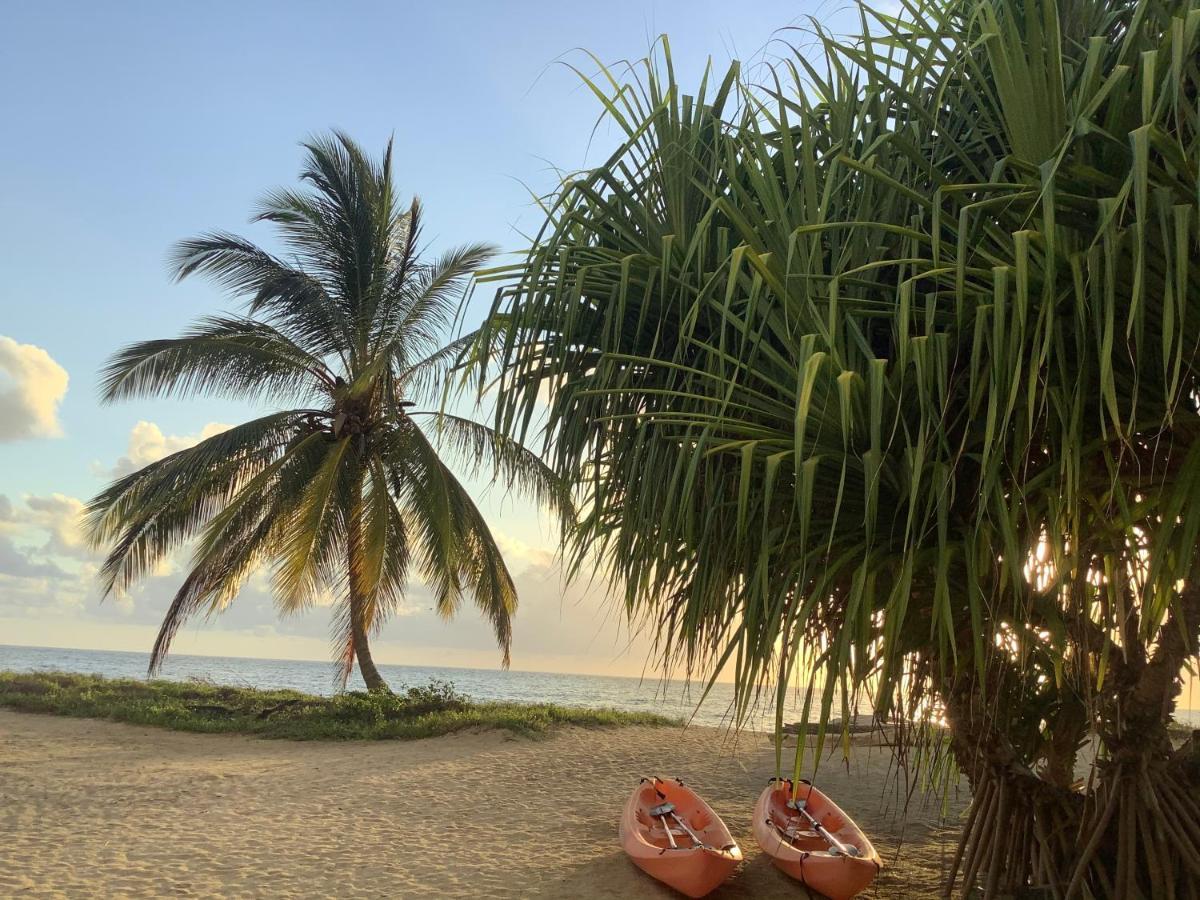 Emayani Beach Lodge Pangani Exterior photo